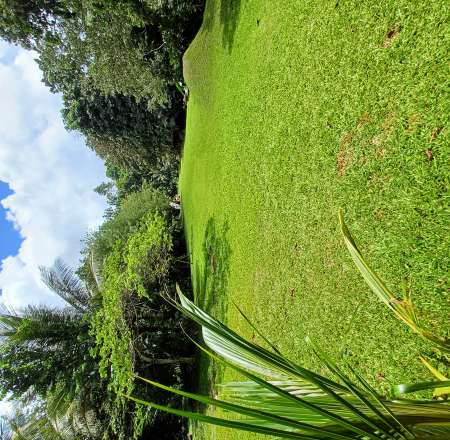 FANTASME RÉELLEMENT