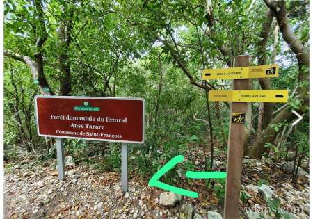  Demain à saint François vendredi 6 septembre