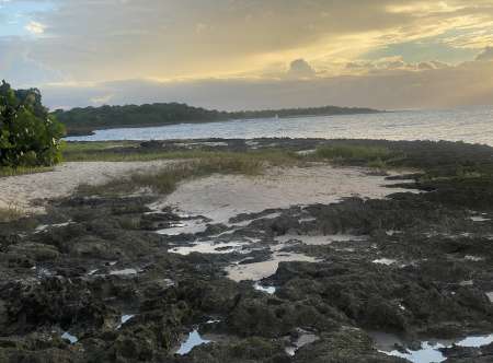 Savoureux et sensuel pour femme