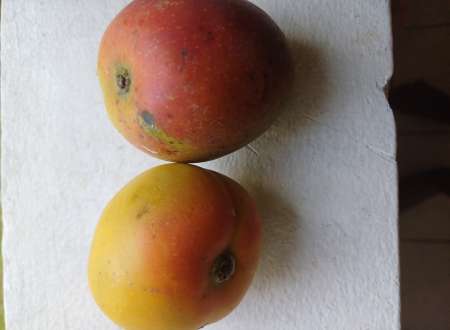 Sensation intense et désire pour femmes