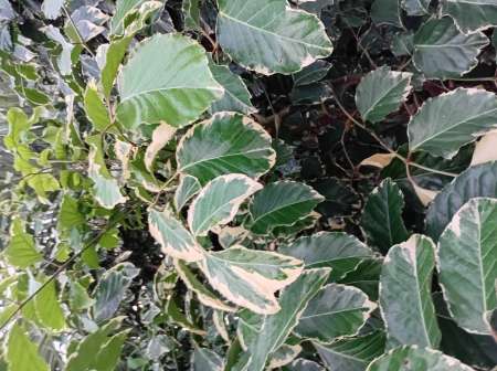 Sensation et plaisirs pour femmes