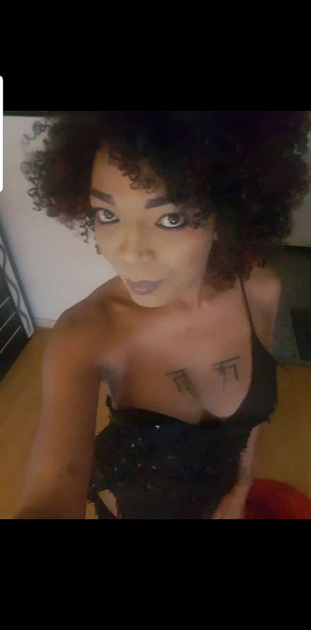 TRANS BLACK TOULOUSE (CASTELGINEST)