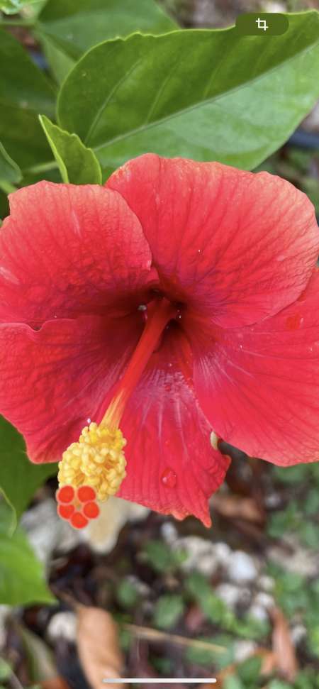 Recherche une partenaire spécialisé 😉